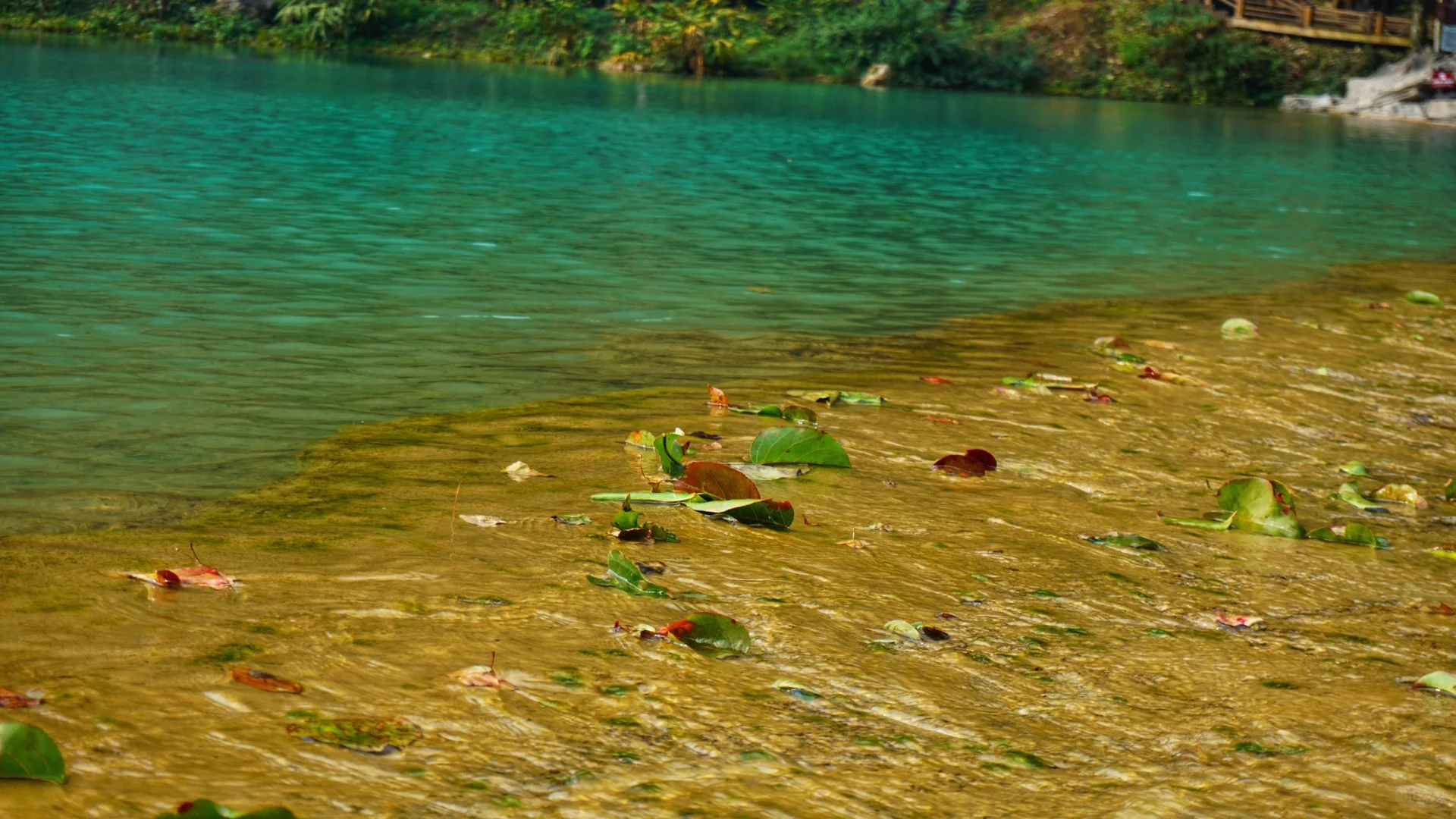 樟江幻境🏞️-Day110-贵州黔南州荔波篇