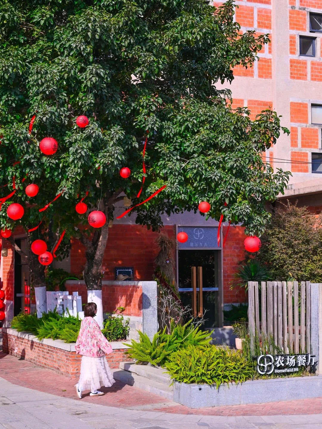 泉州周边游|感受都市闽南田园部落！走进田野
