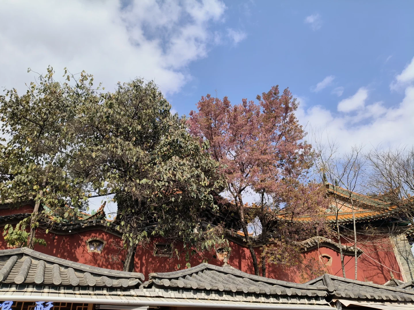 昆明官渡一日游