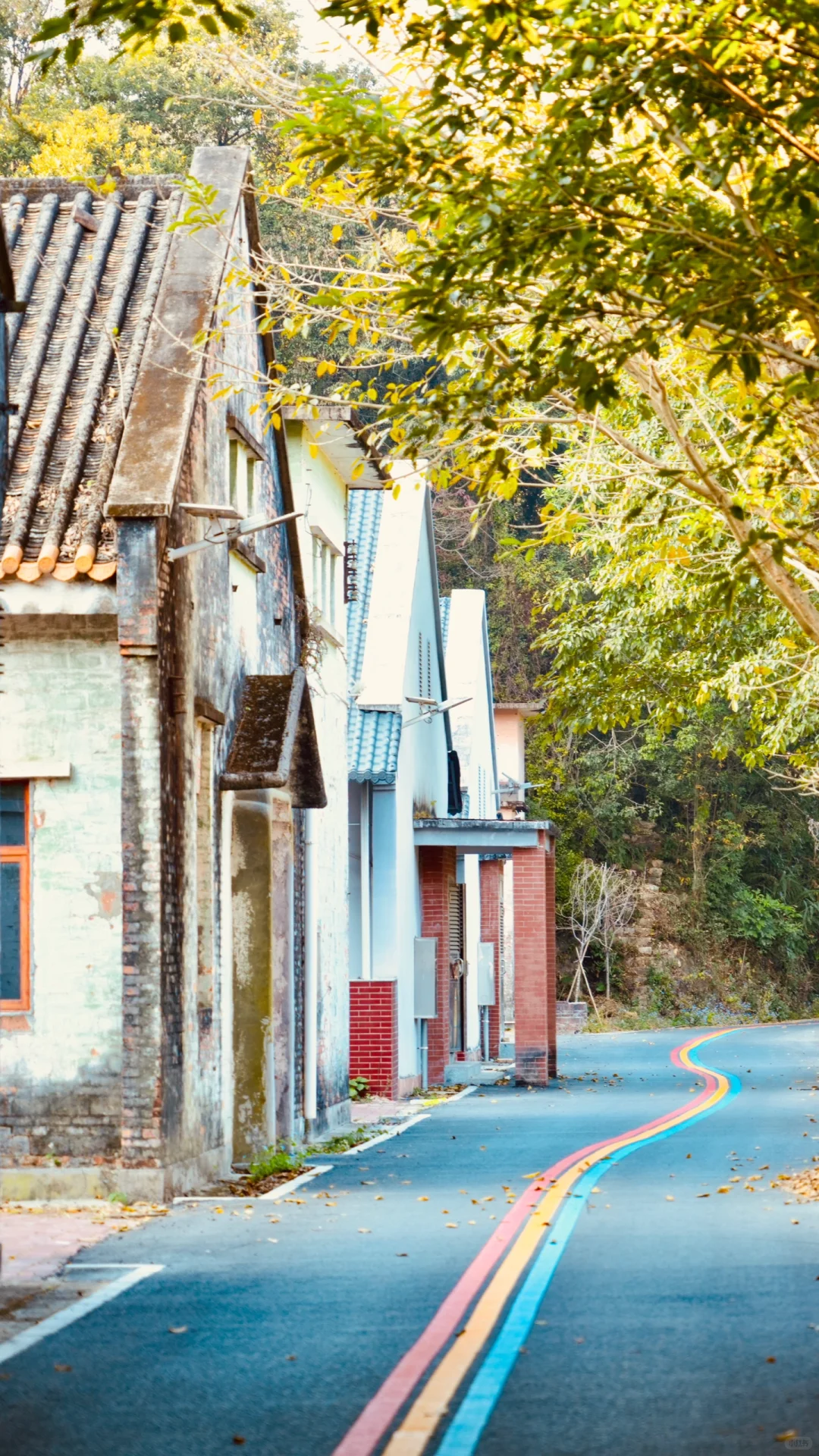 🌈花都梯面 | 彩虹步道，徒步骑行的梦幻之旅
