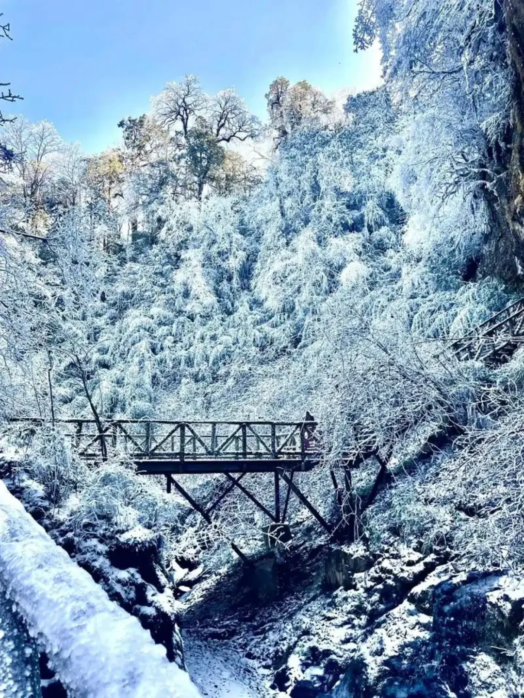 别跑远了❗️成都周边就有的玩雪看雾凇圣地