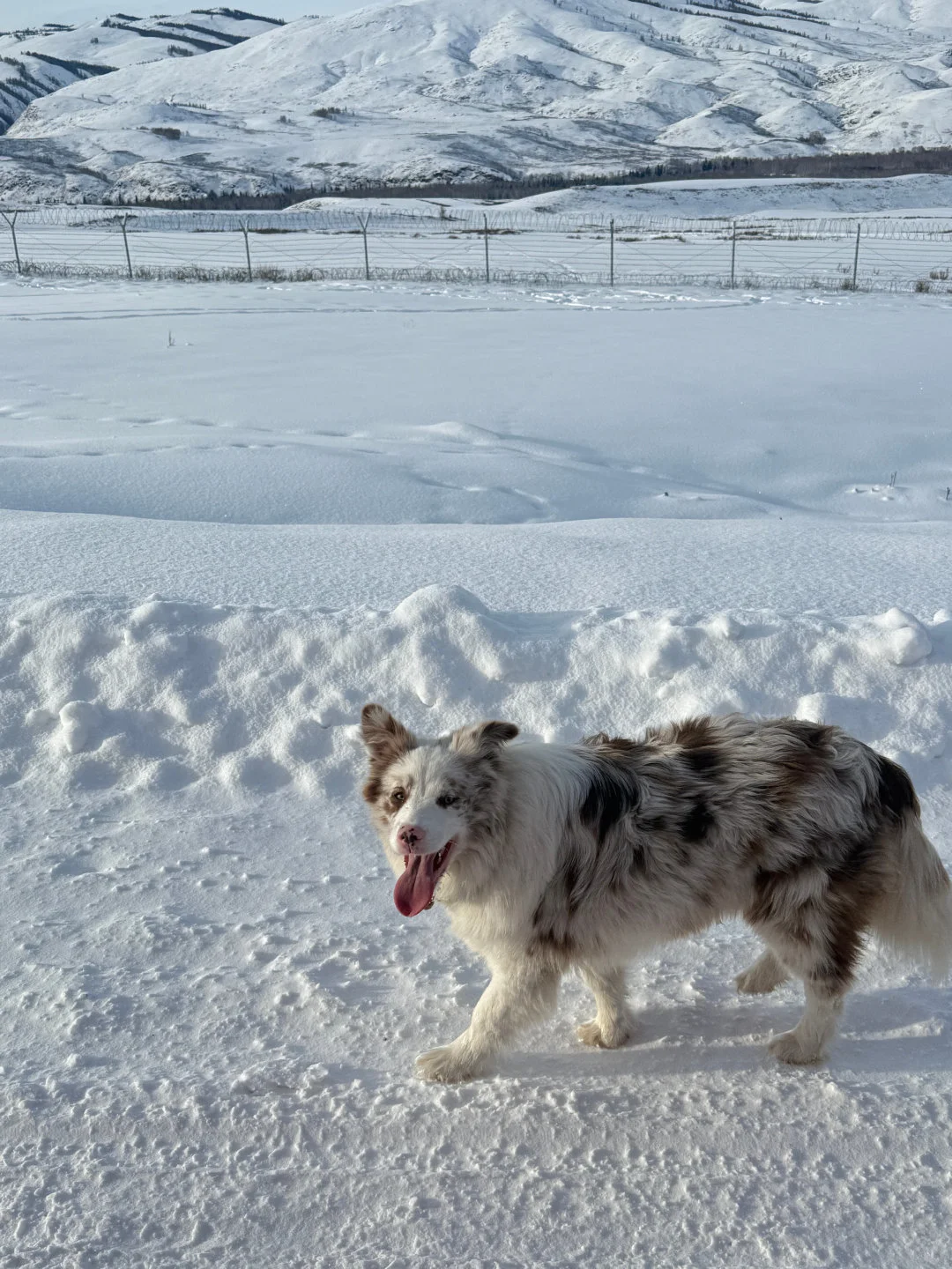 去了新疆5次，打算1-3月淡季旅游的先看看
