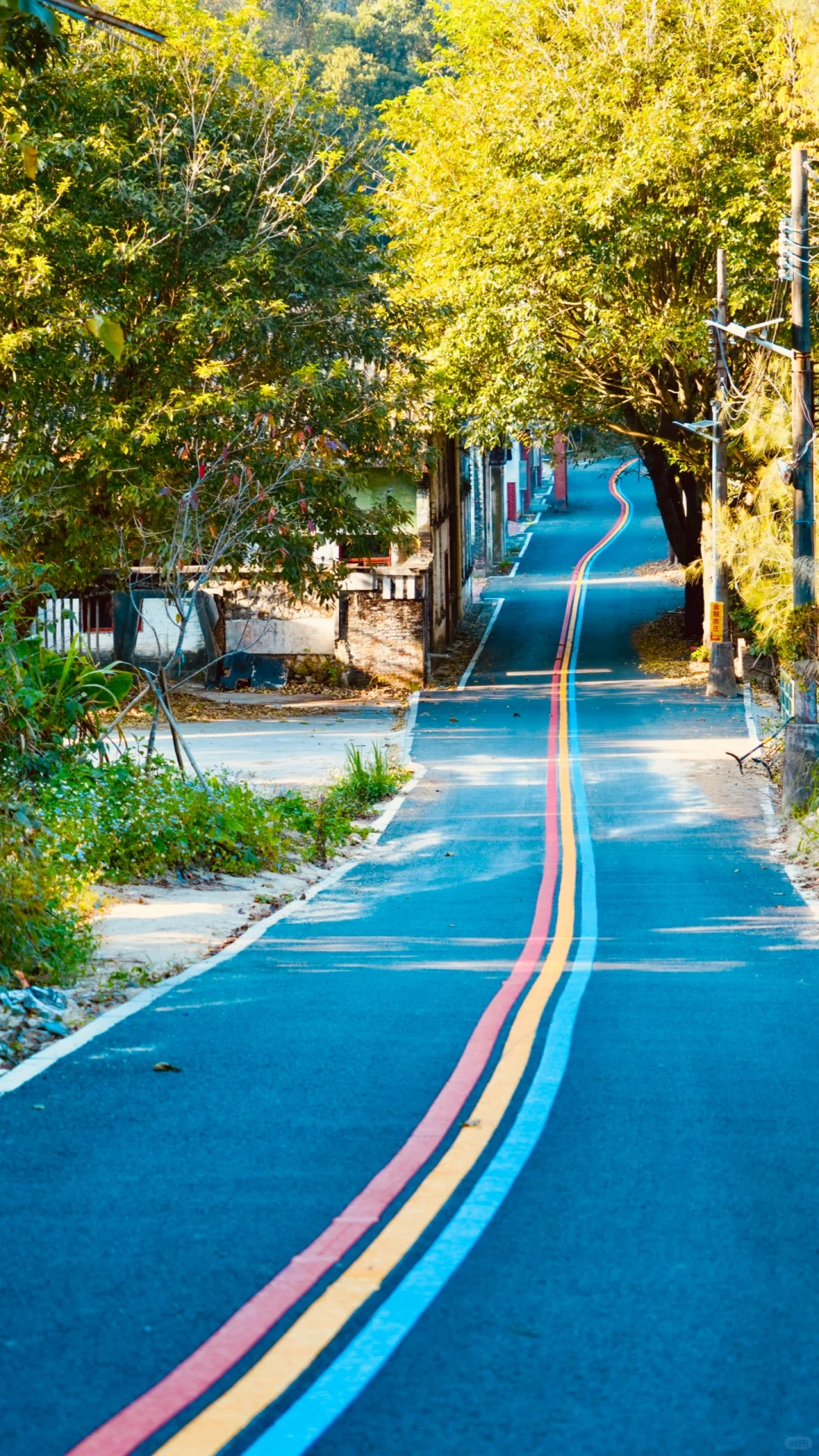 🌈花都梯面 | 彩虹步道，徒步骑行的梦幻之旅