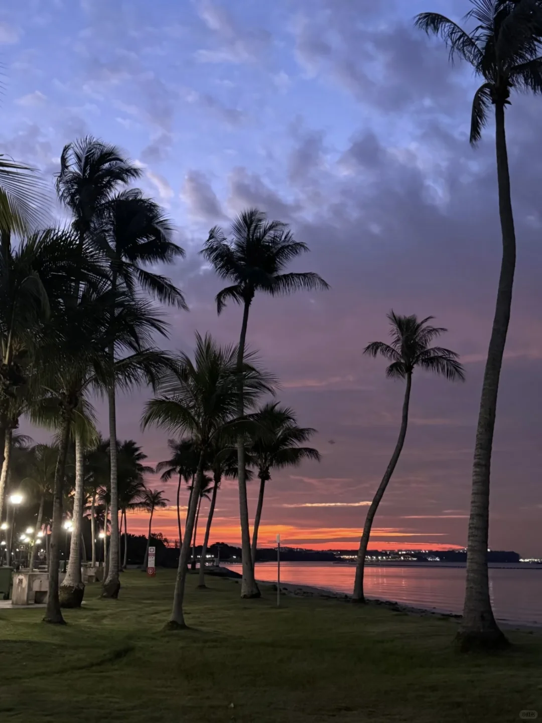 新加坡旅行攻略：必去景点与实用小贴士分享