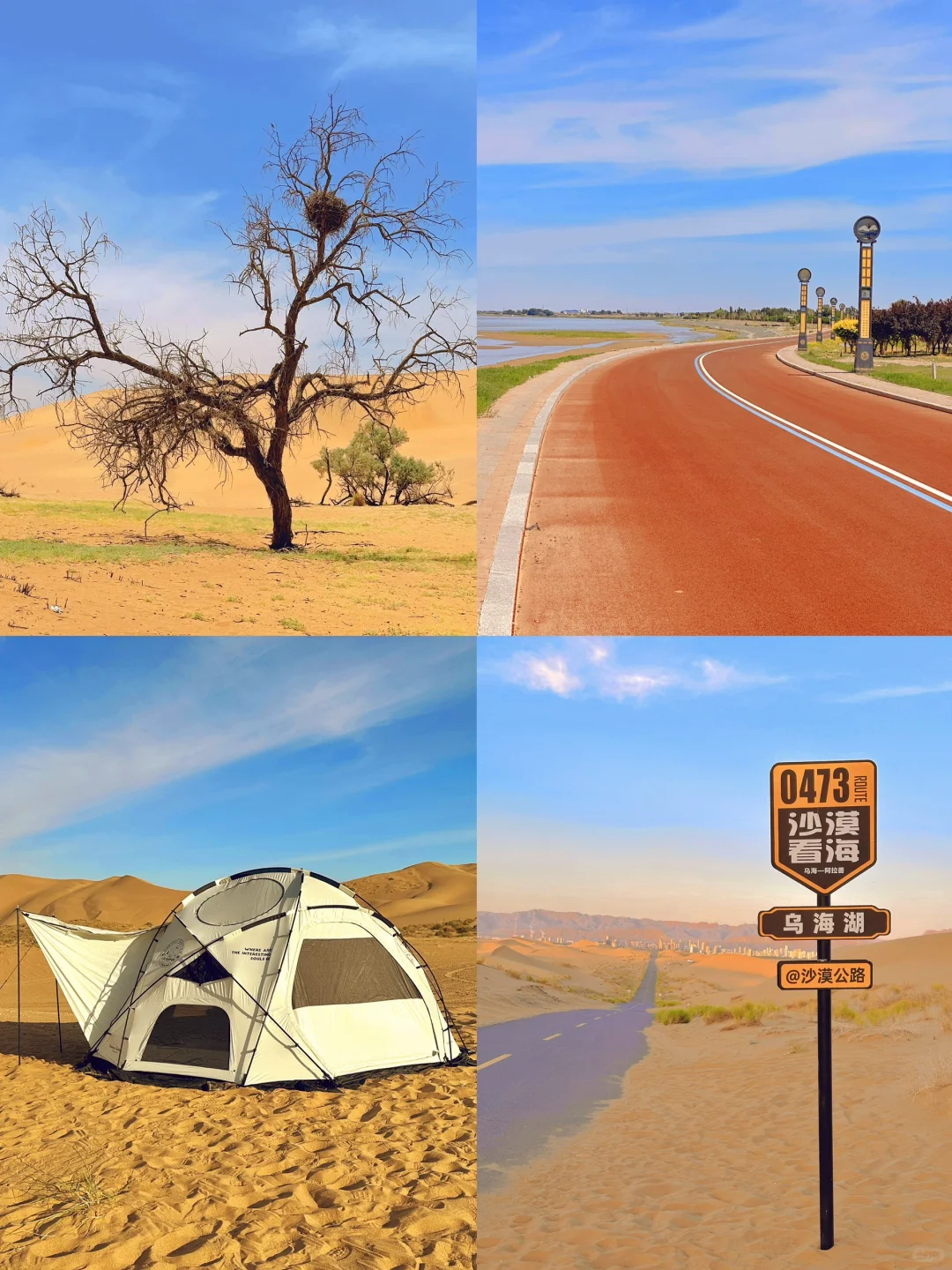 离开乌海后劲真大，两日游不踩雷小众攻略