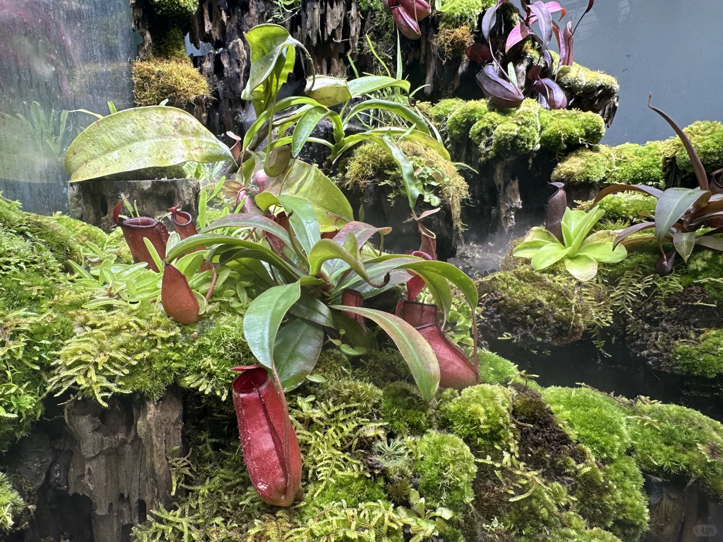 2024是忙碌但是passion的一年