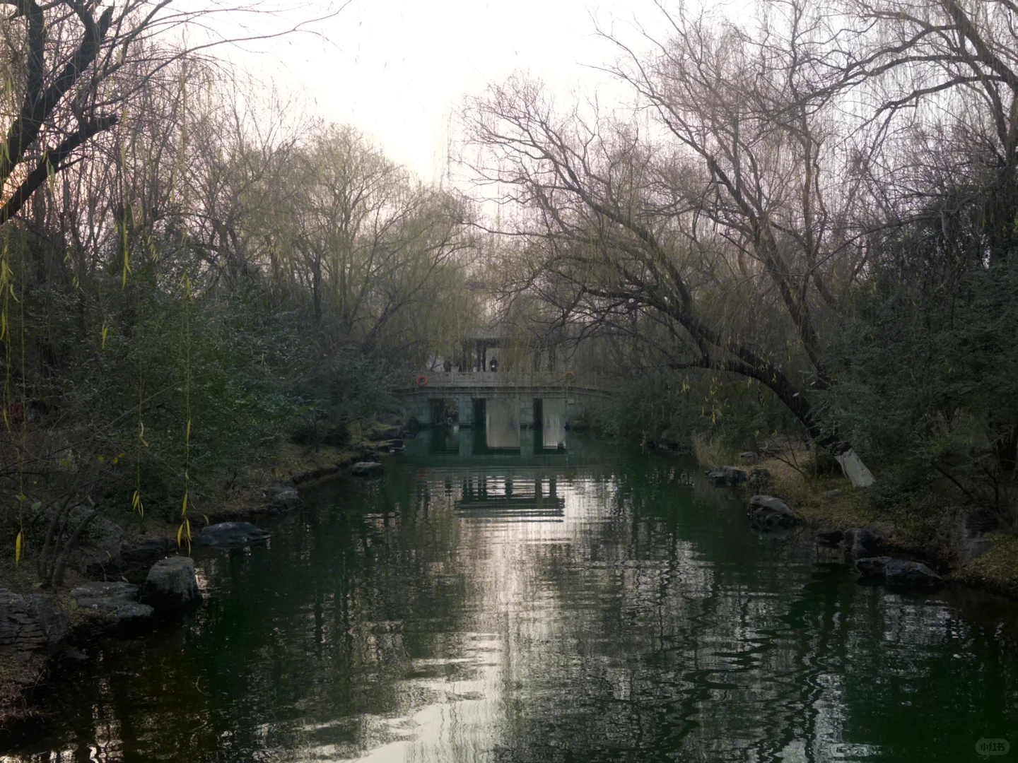 一日玩遍济南热门旅游景点🔥