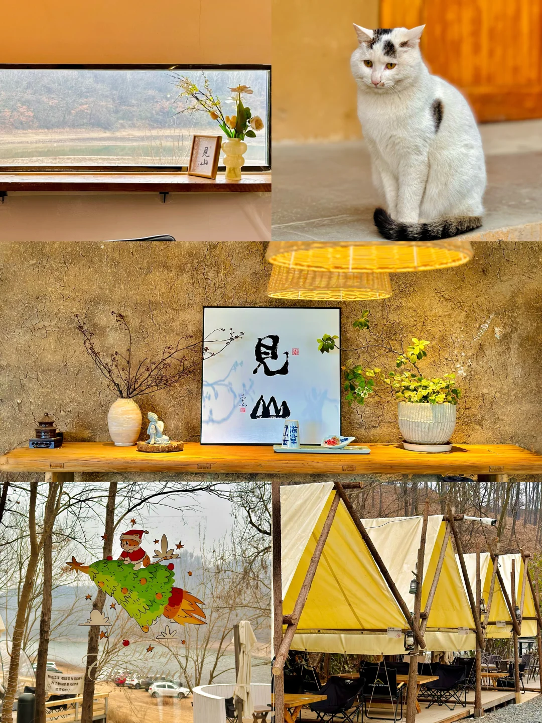 信阳｜文艺小众景点一日游