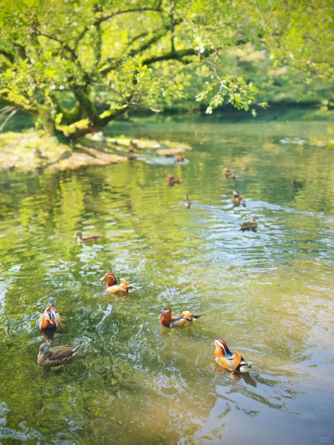 来杭州一定一定先看这篇攻略❗️