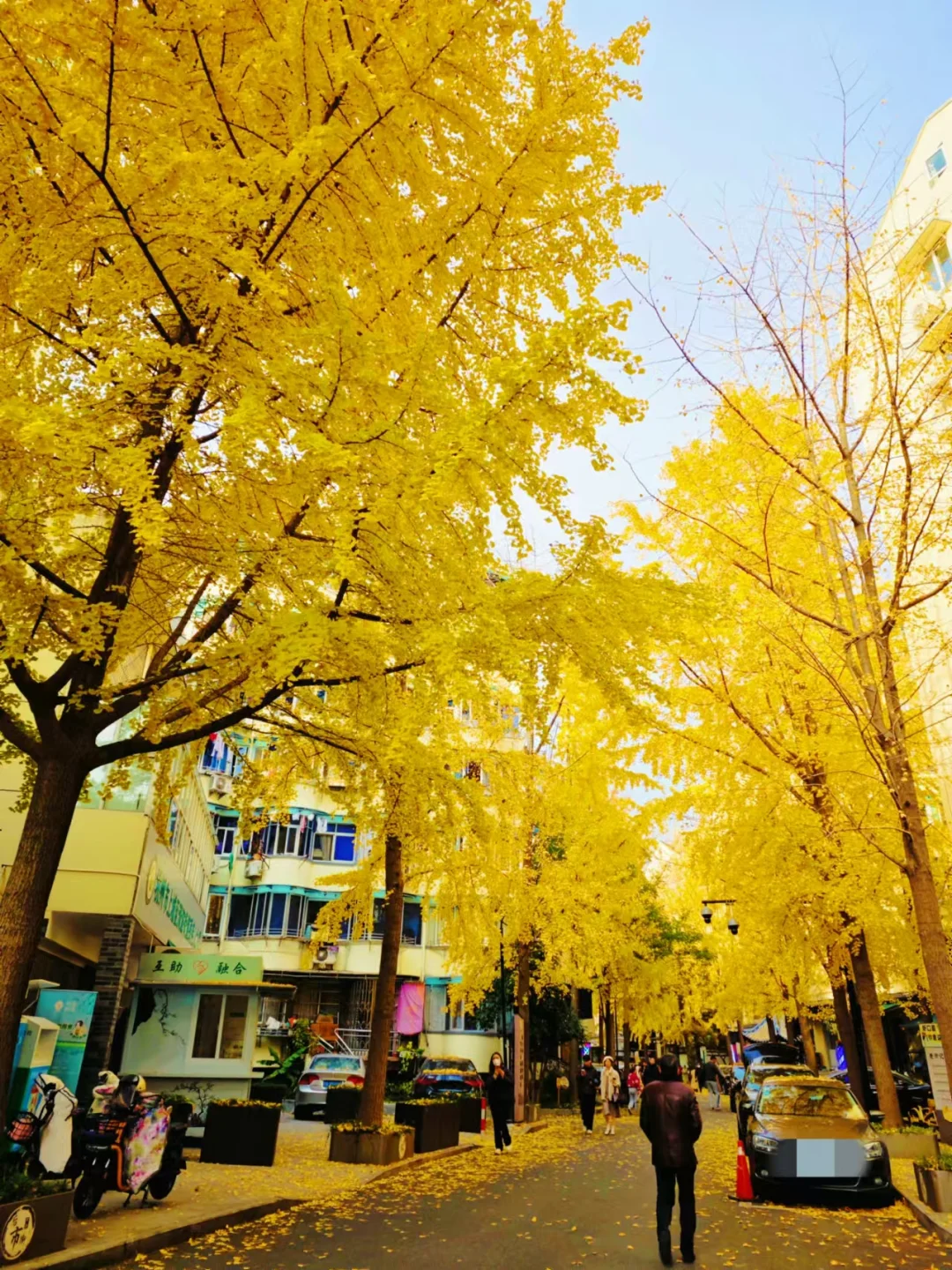 来杭州一定一定先看这篇攻略❗️