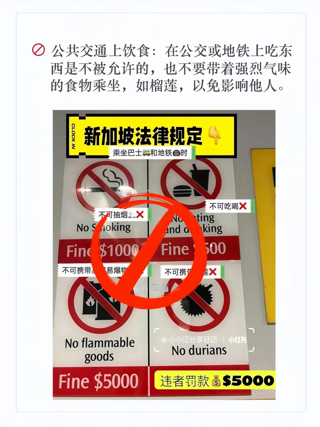 熬夜整理😭希望去新加坡的姐妹都能提前刷到