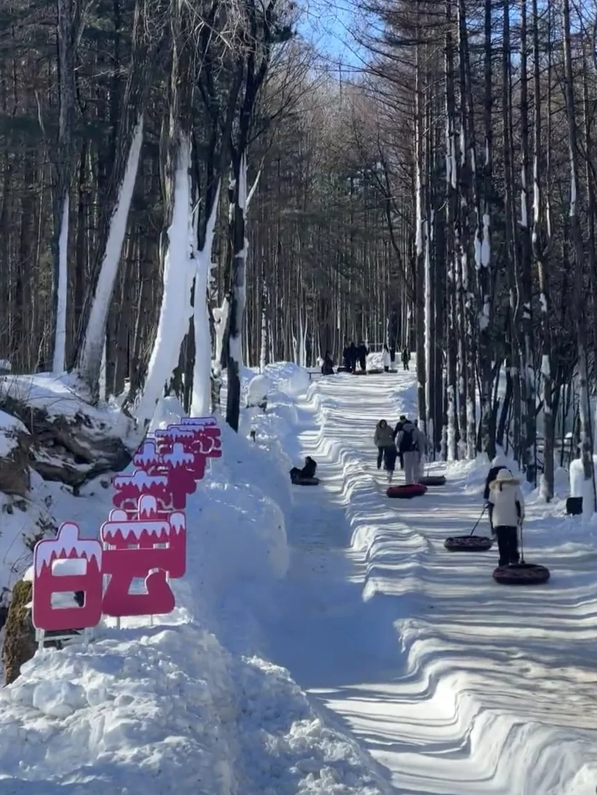 别再只知道去老君山了！白云山也超好玩