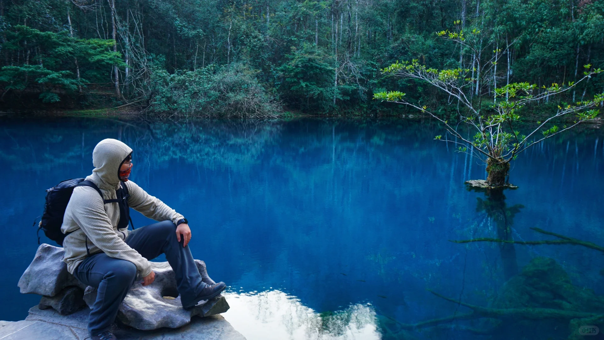 樟江幻境🏞️-Day110-贵州黔南州荔波篇