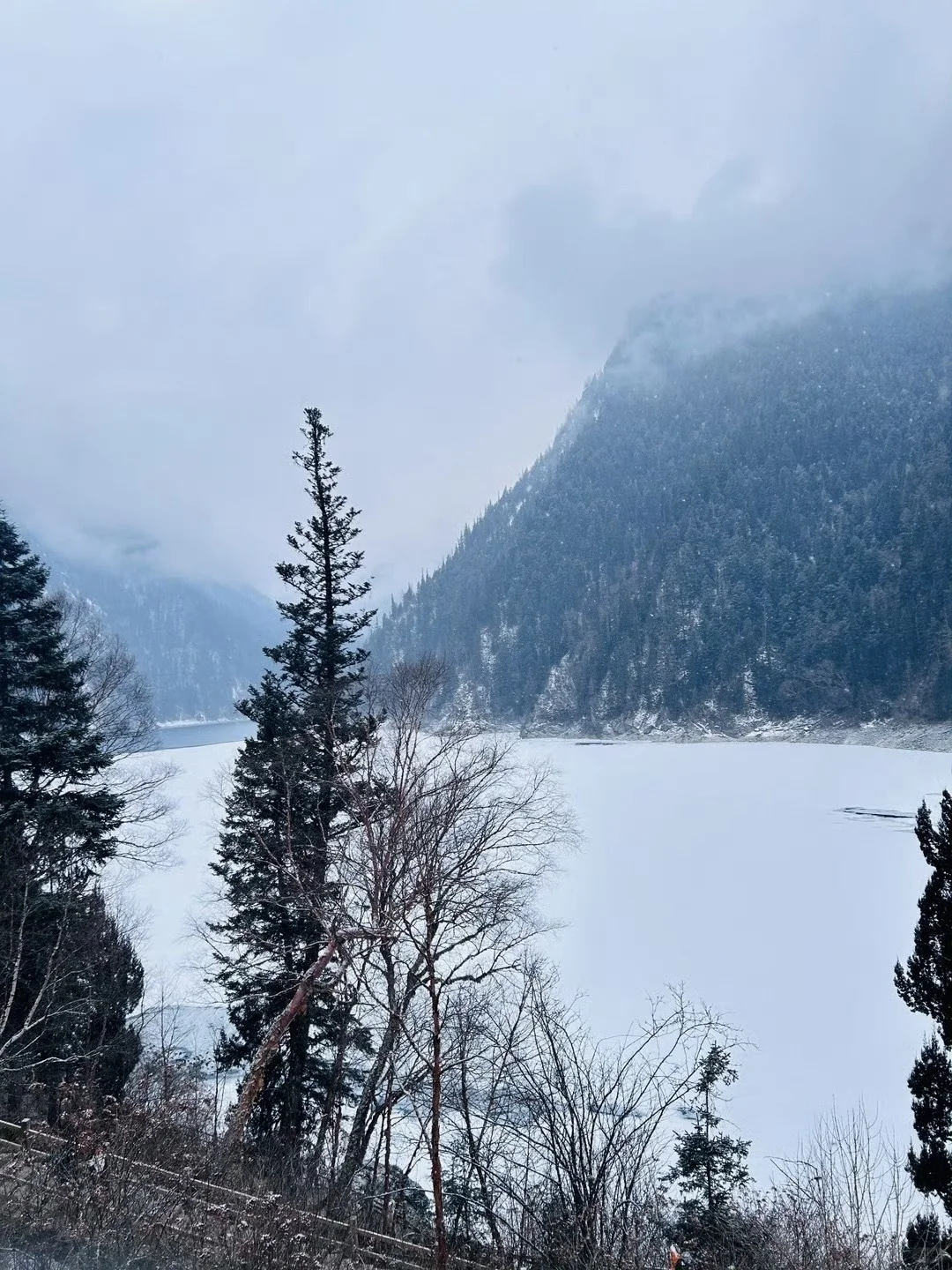 1月9号九寨沟黄龙现状....说句大实话😭