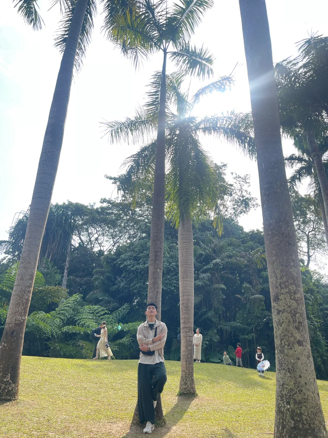 西双版纳中科院植物园