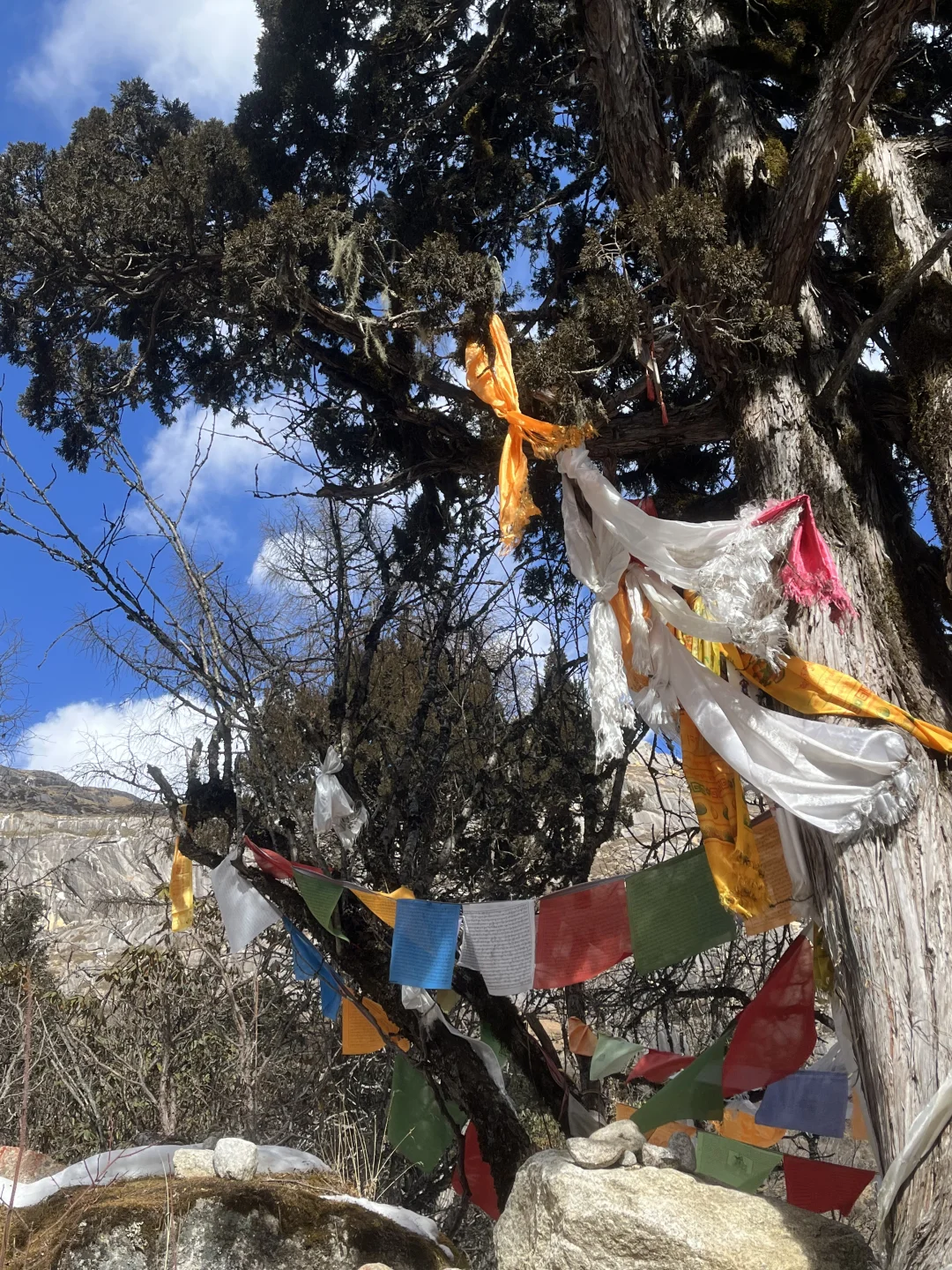 1⃣️月实拍 毕棚沟live… 蓝天白云的真的好美