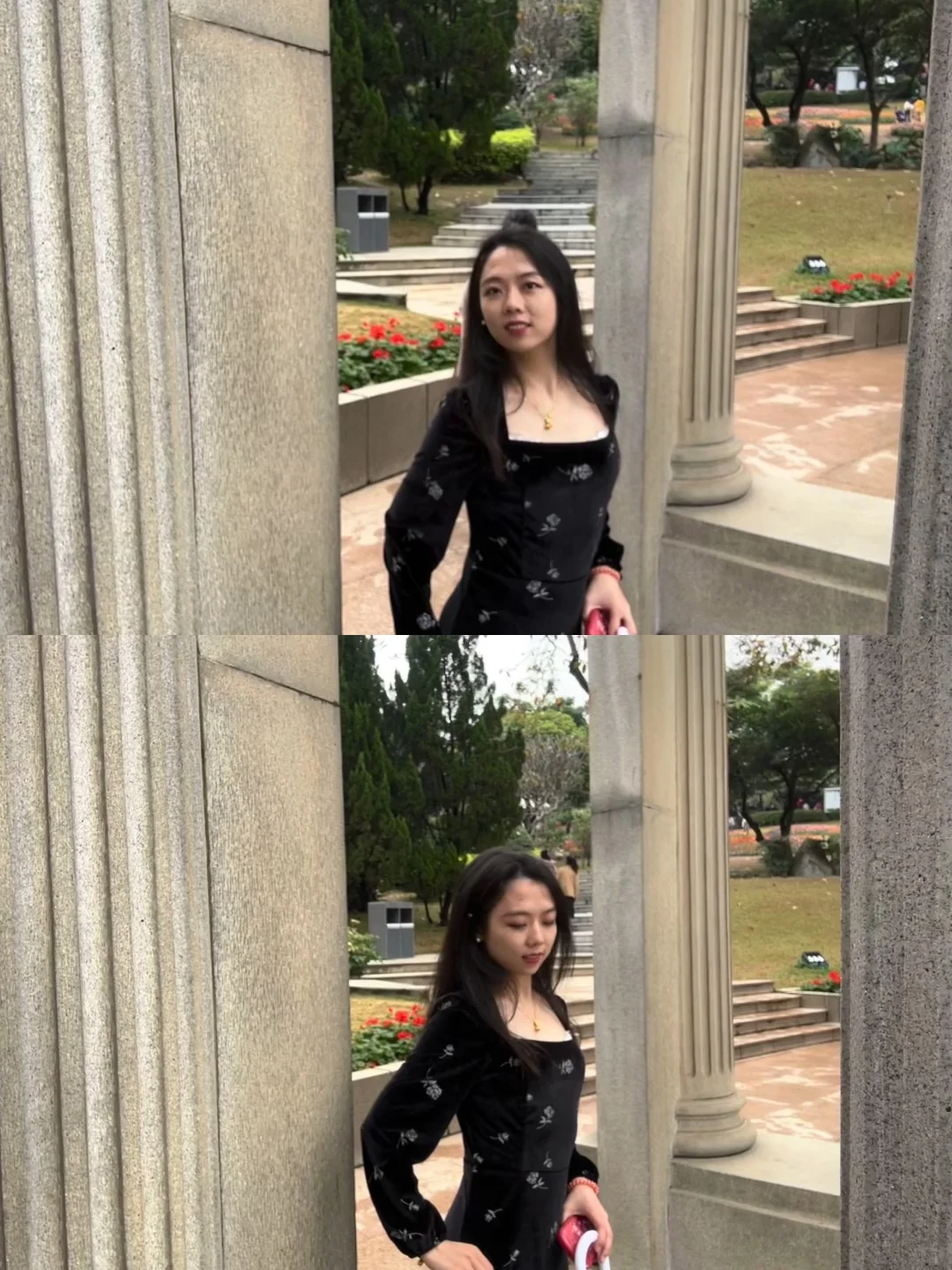 广州朋友收到通知没？云台花园郁金香要来了