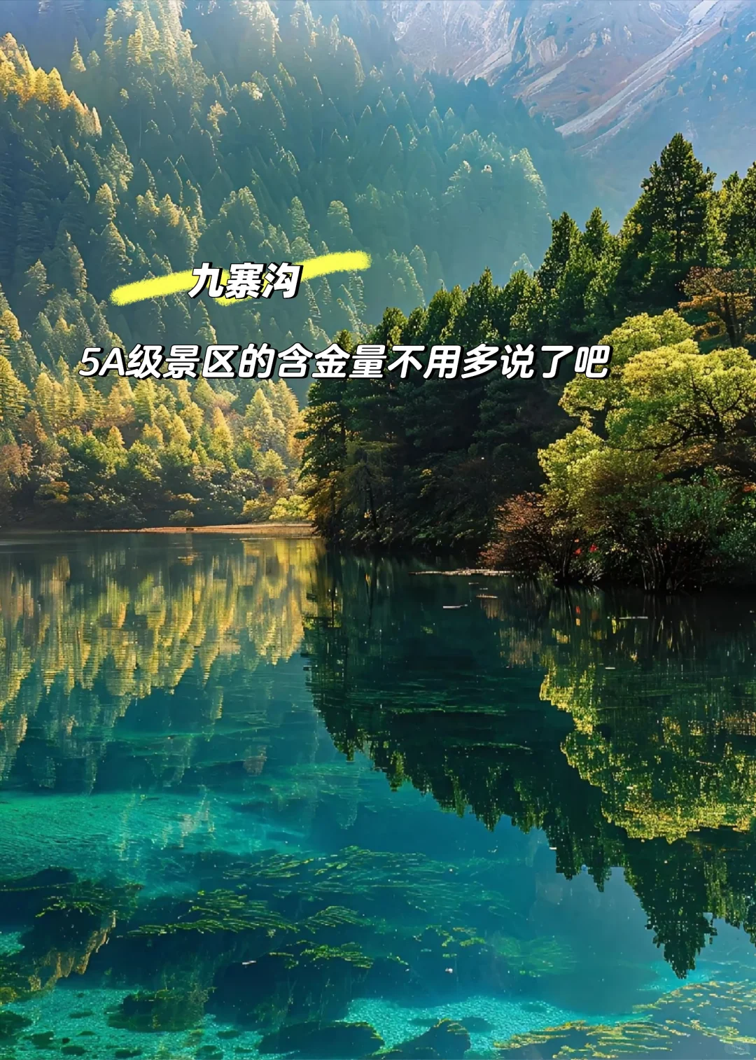 四川📍劝退不了一点,真心建议还没来的