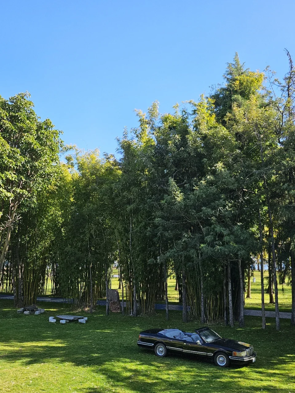 大理洱海漫游指南💖：美食、景点与云端梦