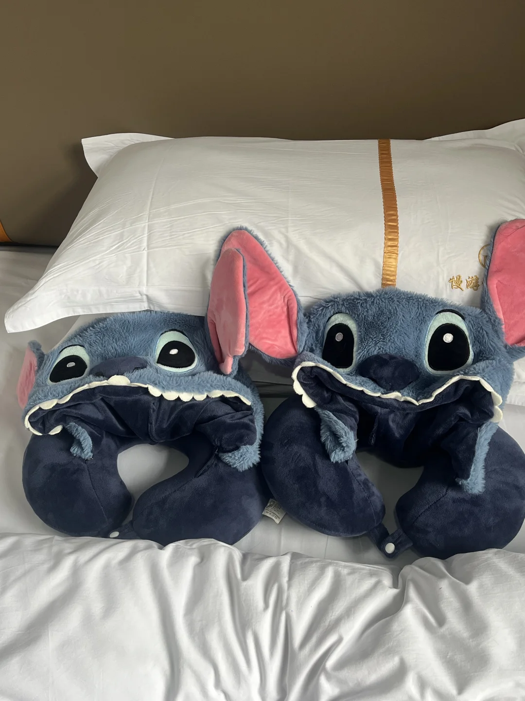 到底是谁害我背了一箱速食上庐山！？！