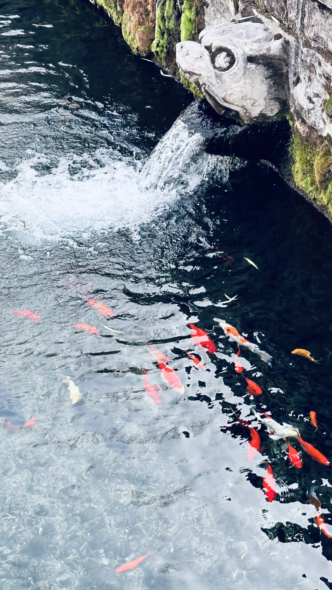 一日玩遍济南热门旅游景点🔥