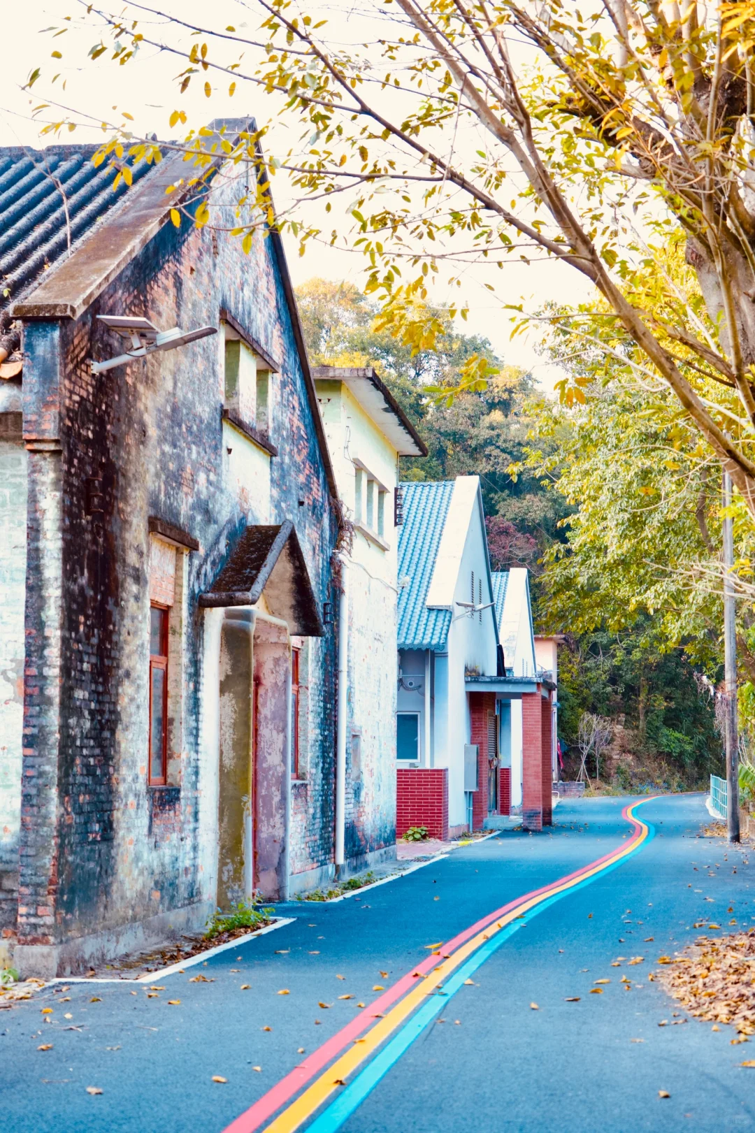 🌈花都梯面 | 彩虹步道，徒步骑行的梦幻之旅