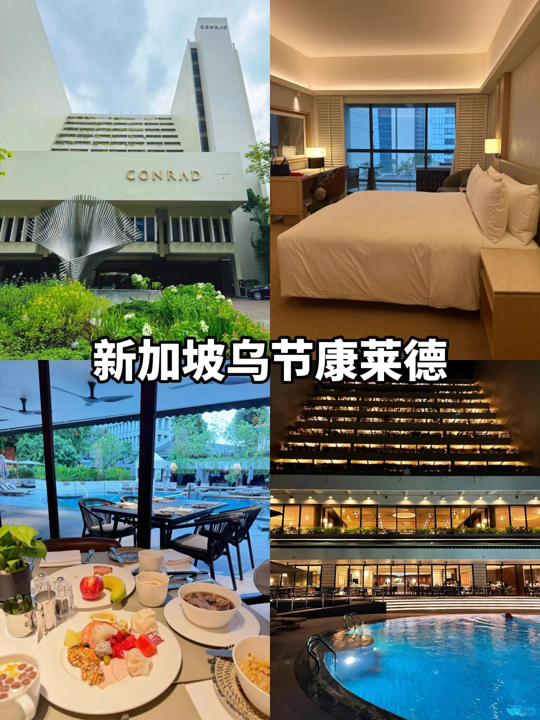 🇸🇬新加坡⚠️1-3月新规｜一定要看！