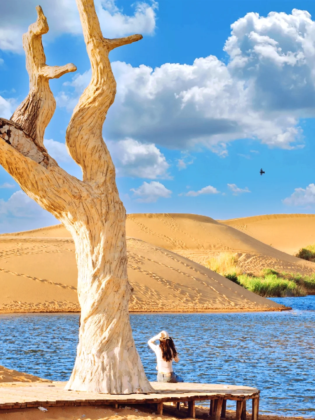 离开乌海后劲真大，两日游不踩雷小众攻略