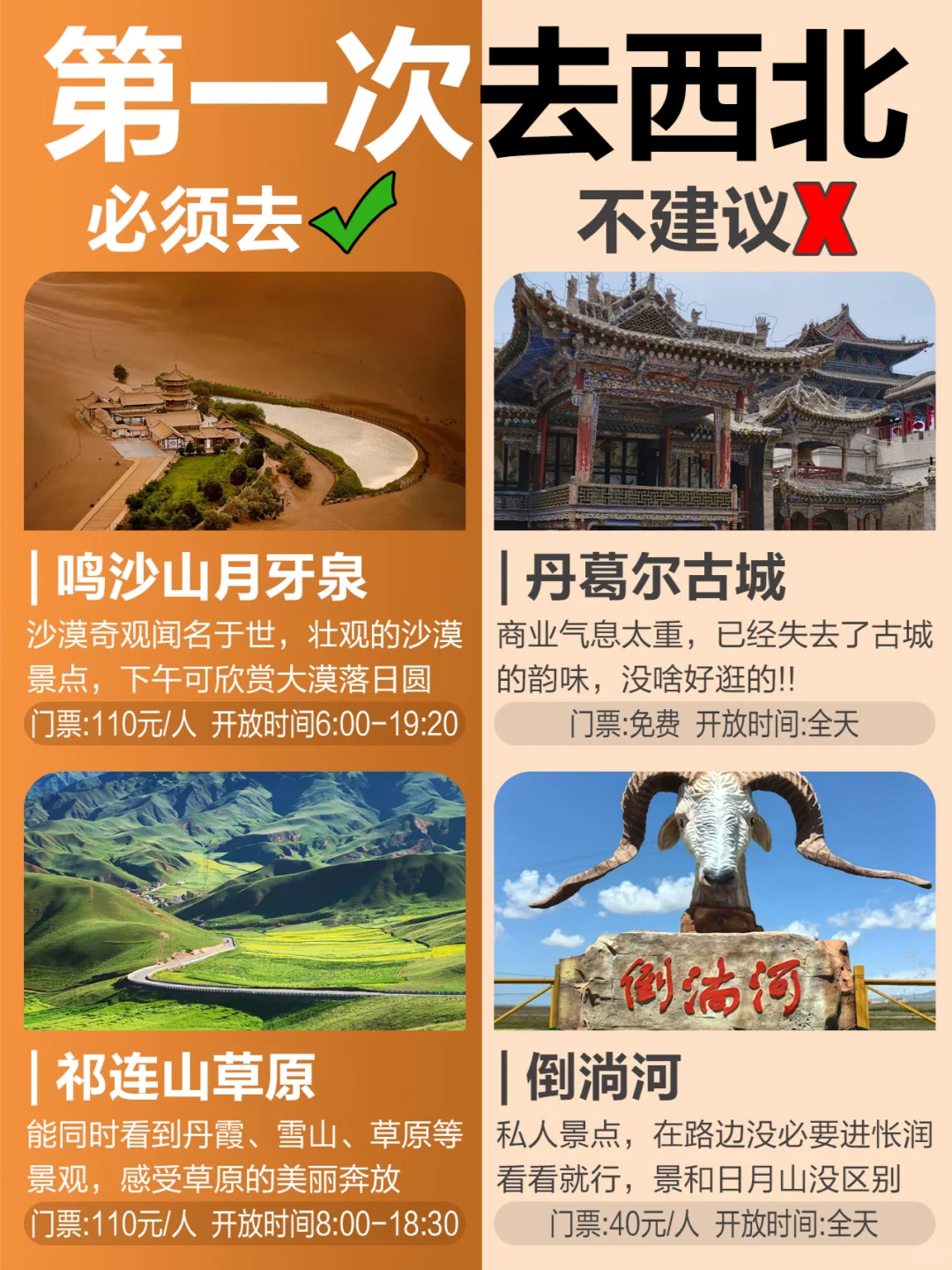 第一次来西北📸现实版！能劝一个是一个！