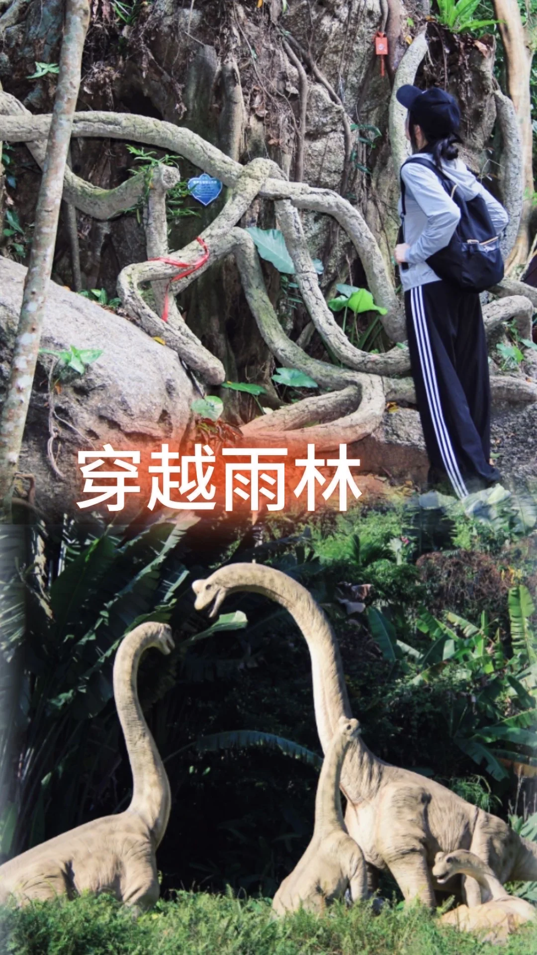 🌴三亚呀诺达热带雨林景区探险全攻略