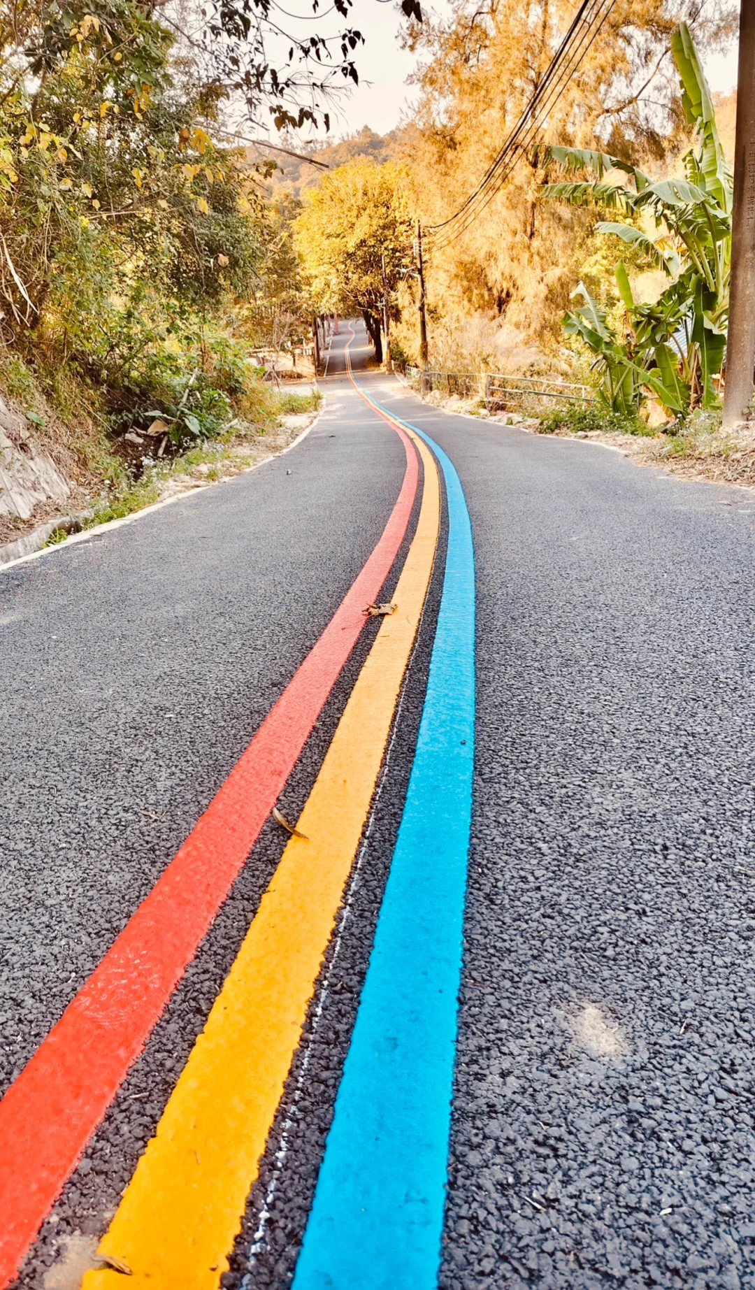 🌈花都梯面 | 彩虹步道，徒步骑行的梦幻之旅
