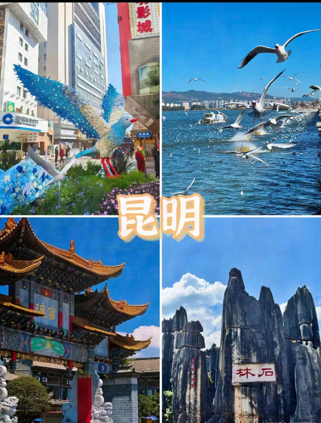 春节反向游，适合带父母出游的九个温暖城市!