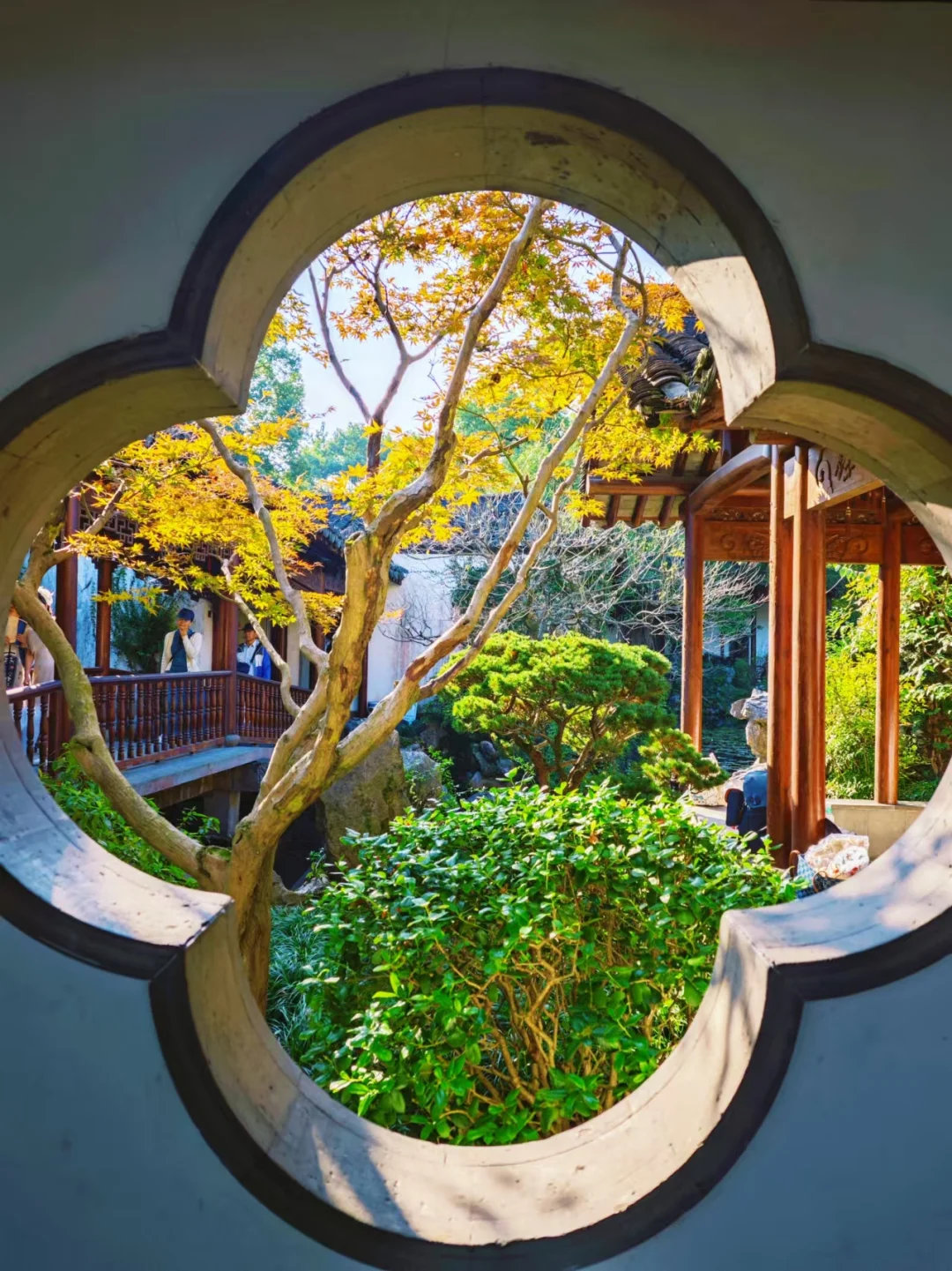 来杭州一定一定先看这篇攻略❗️