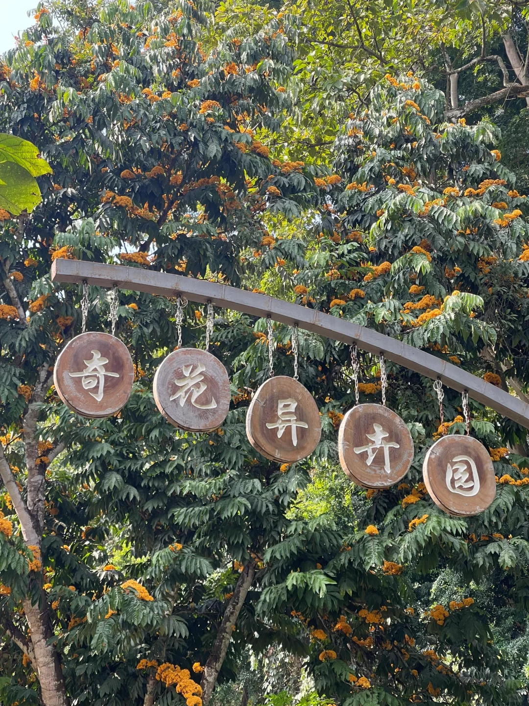 西双版纳中科院植物园