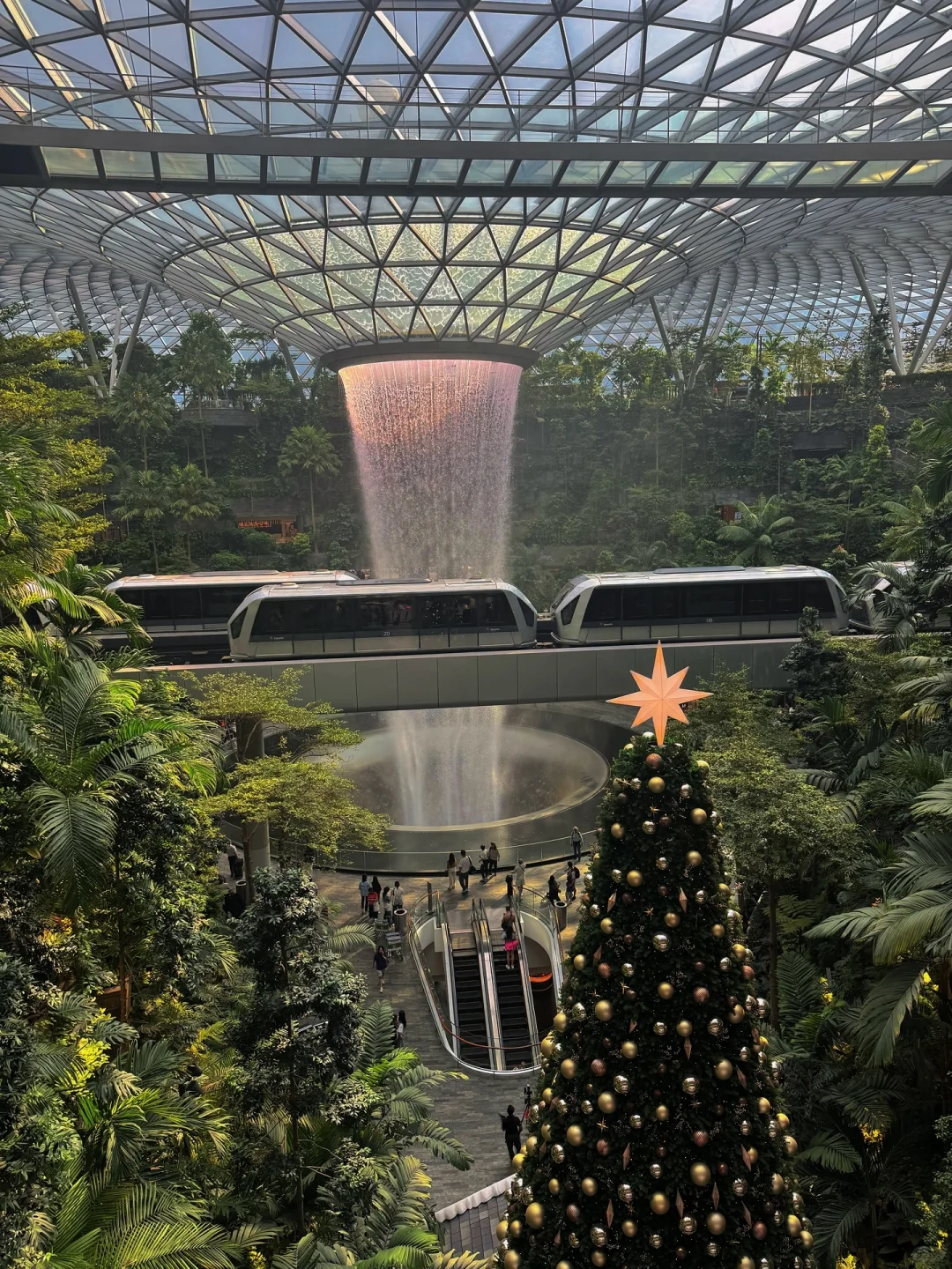 新加坡旅行攻略：必去景点与实用小贴士分享