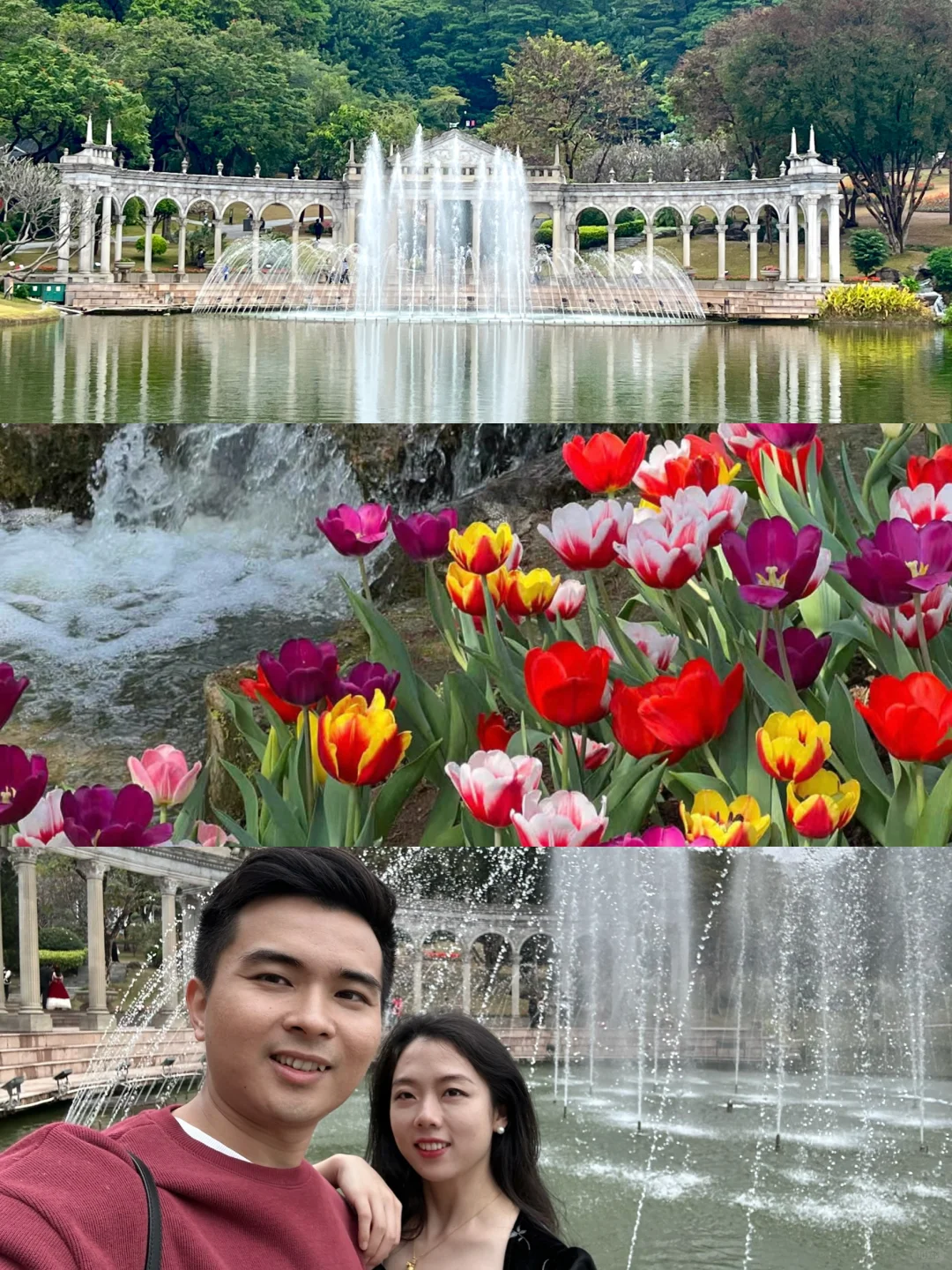 广州朋友收到通知没？云台花园郁金香要来了