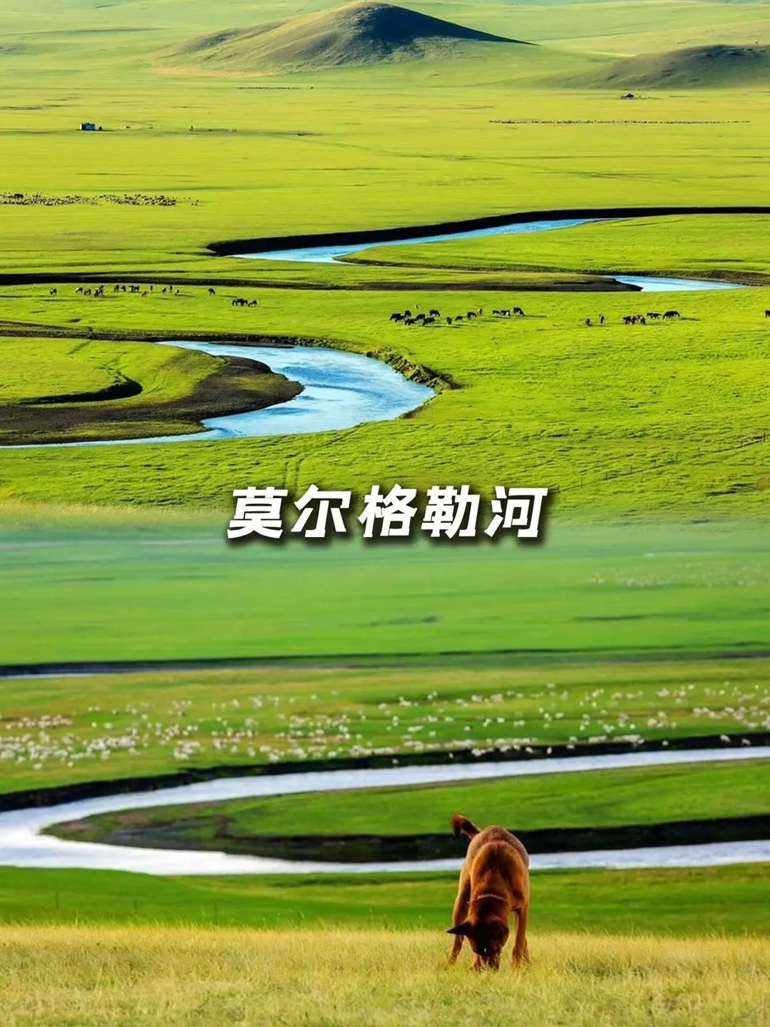 内蒙古超全面景点游玩指南✅