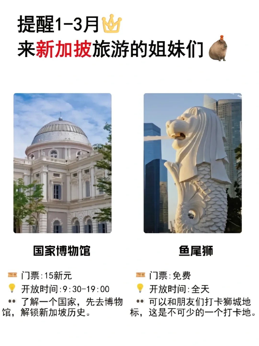 🇸🇬新加坡⚠️1-3月新规｜一定要看！