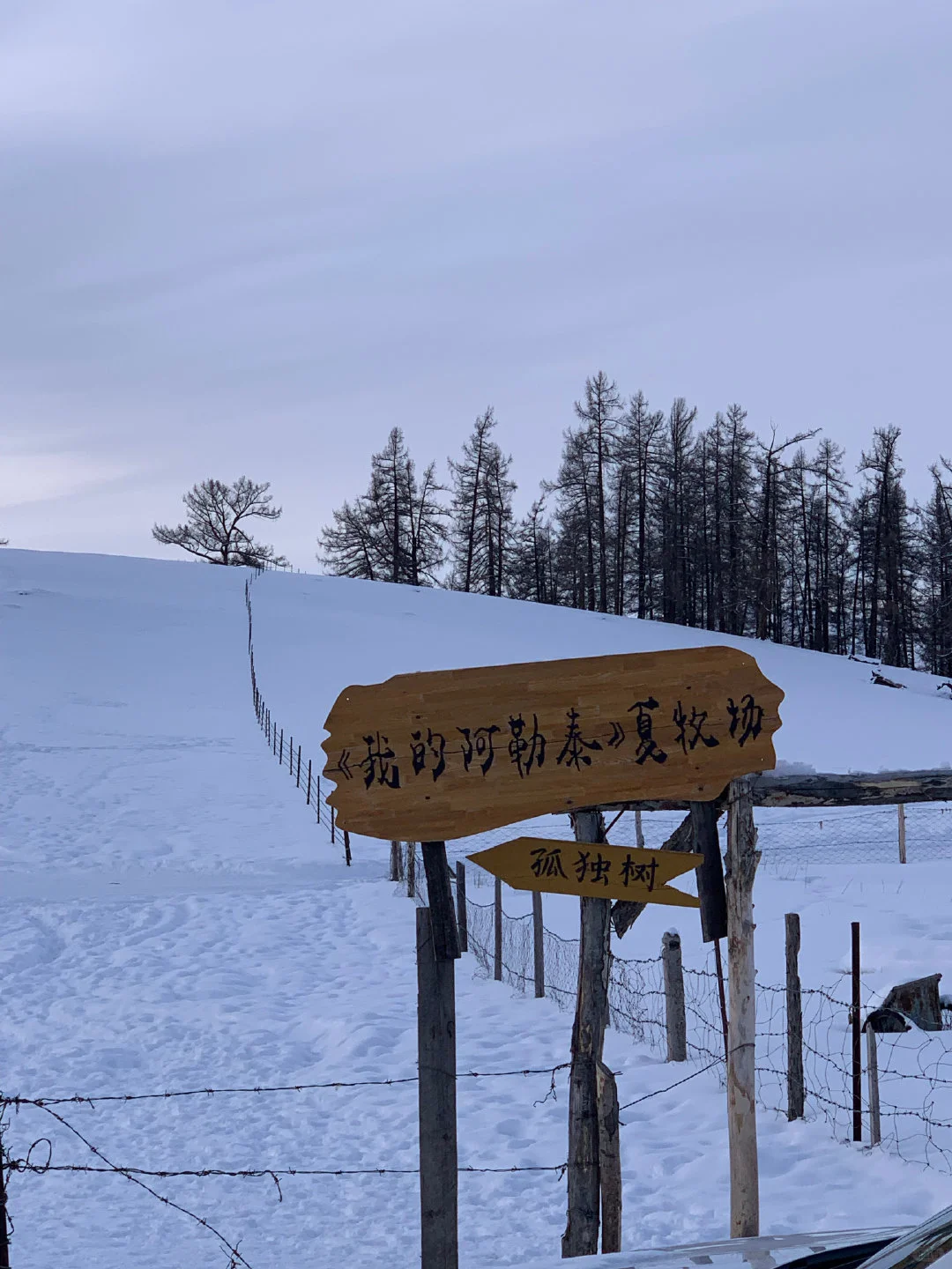 去了新疆5次，打算1-3月淡季旅游的先看看