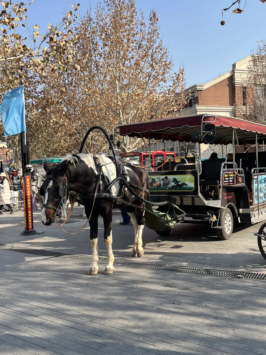 天津一日（8小时）旅游攻略——全景点版