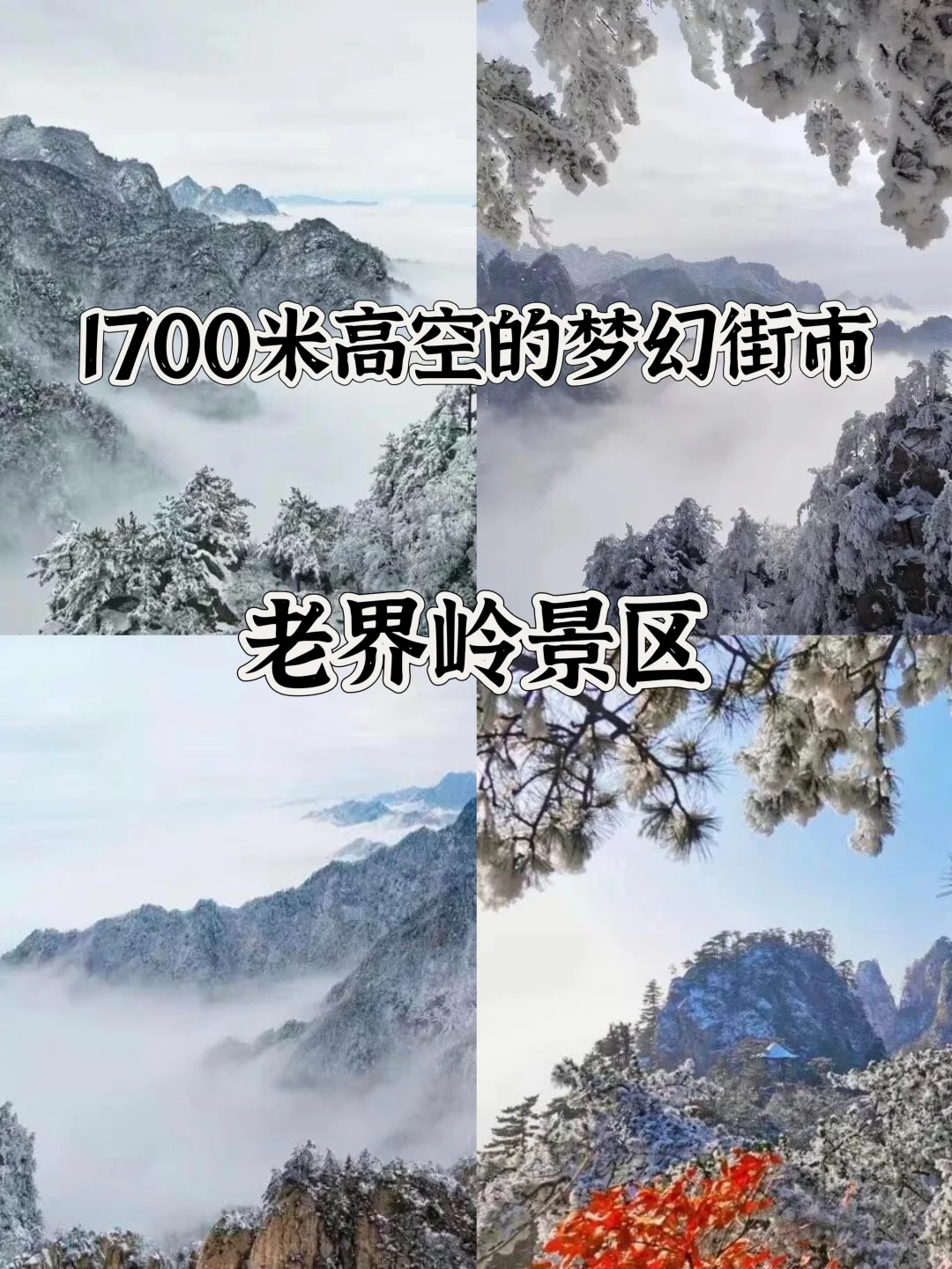 河南最值得去的十几个 5 A 级旅游景区