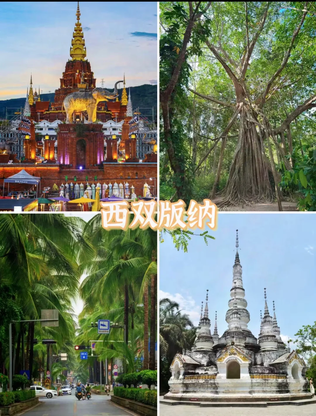 春节反向游，适合带父母出游的九个温暖城市!