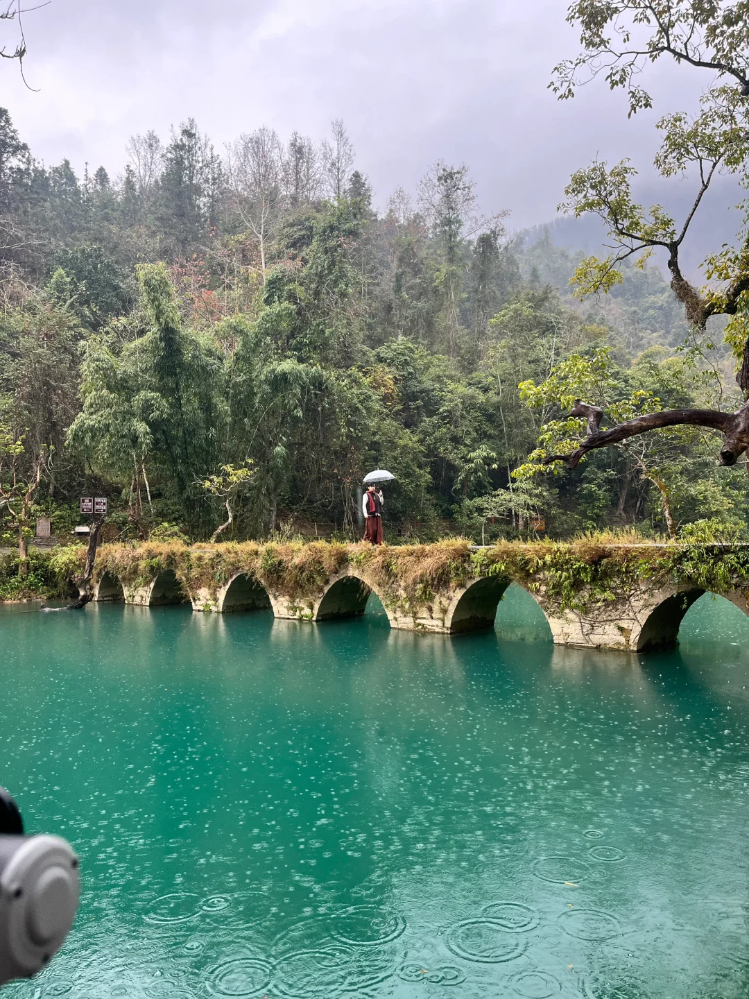 1.9实况|荔波小七孔