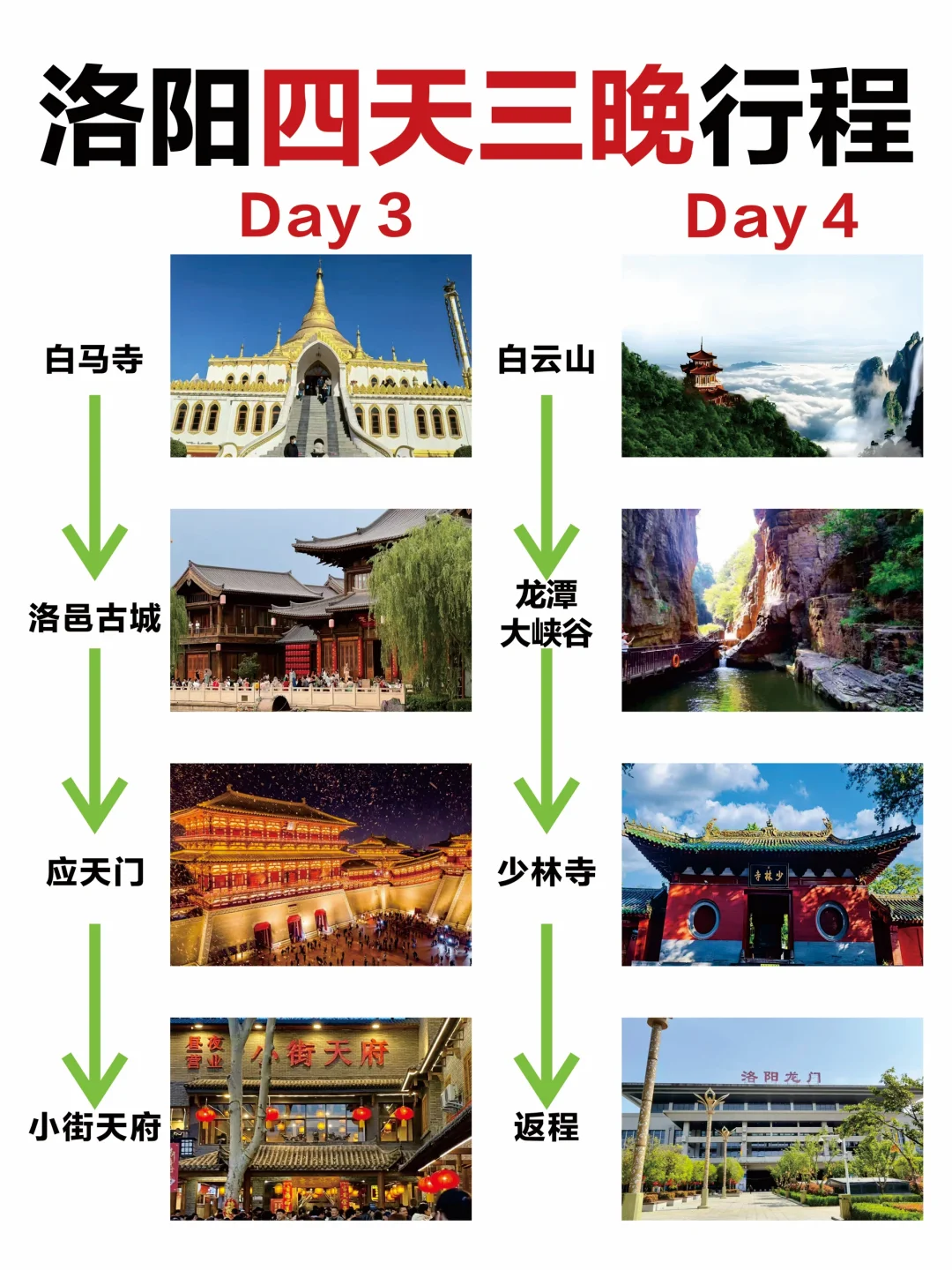 😰洛阳不要说来就来啊…⚠️我的建议是……