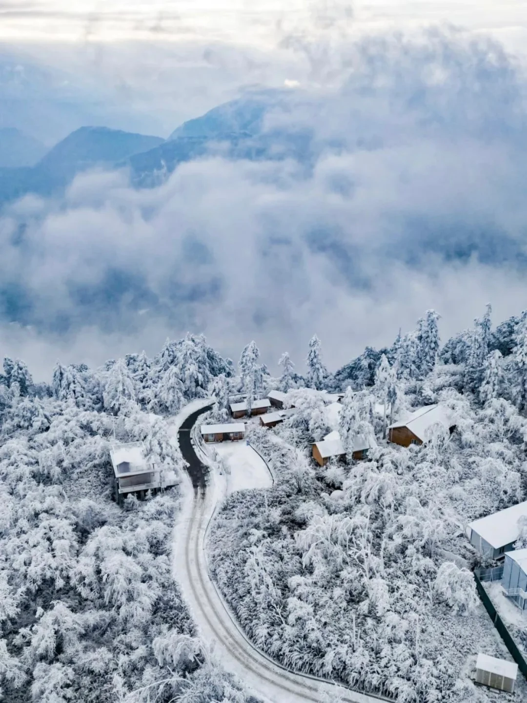 别跑远了❗️成都周边就有的玩雪看雾凇圣地