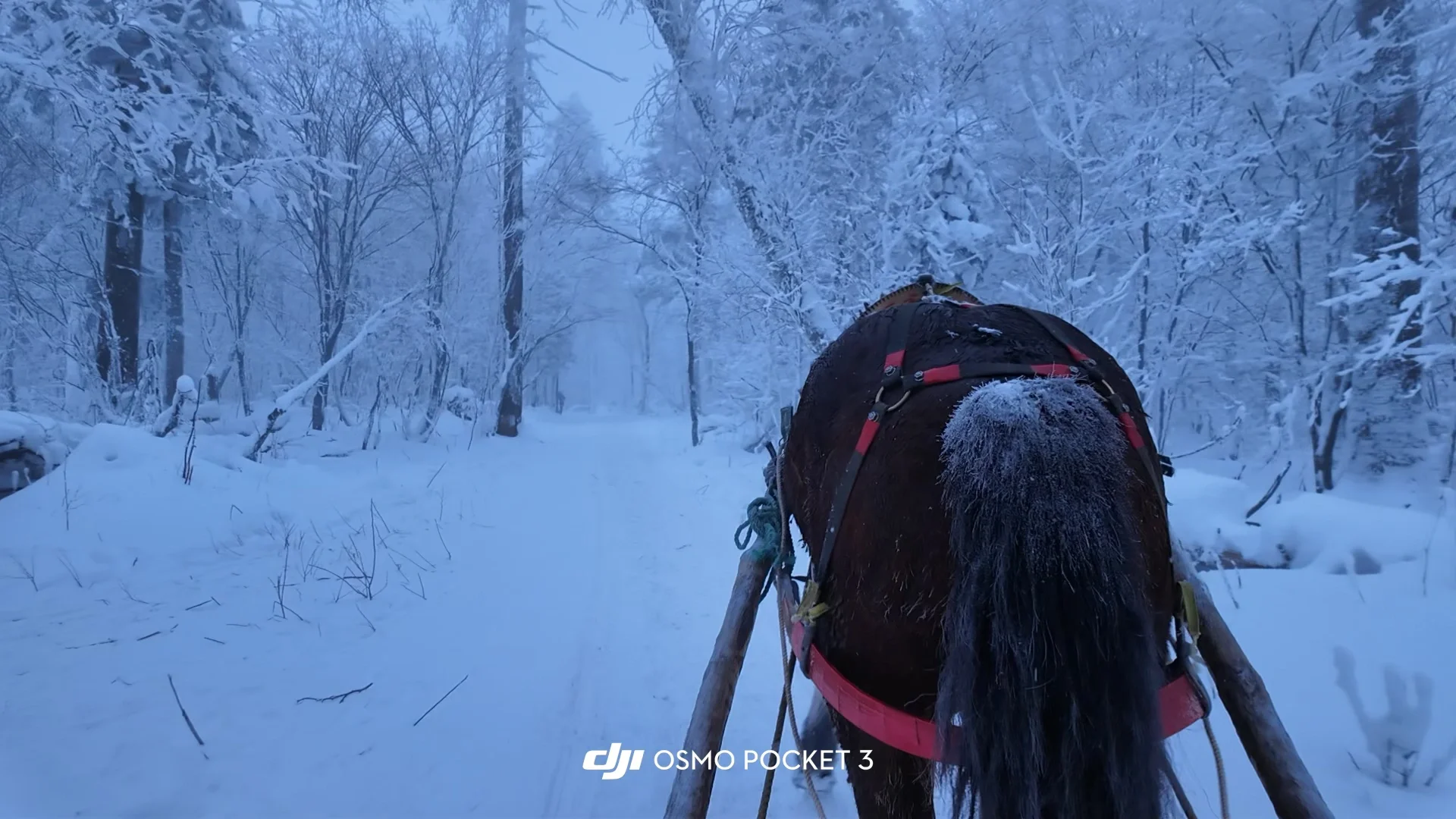 📍长白山旅游攻略【超详细用心文字版】