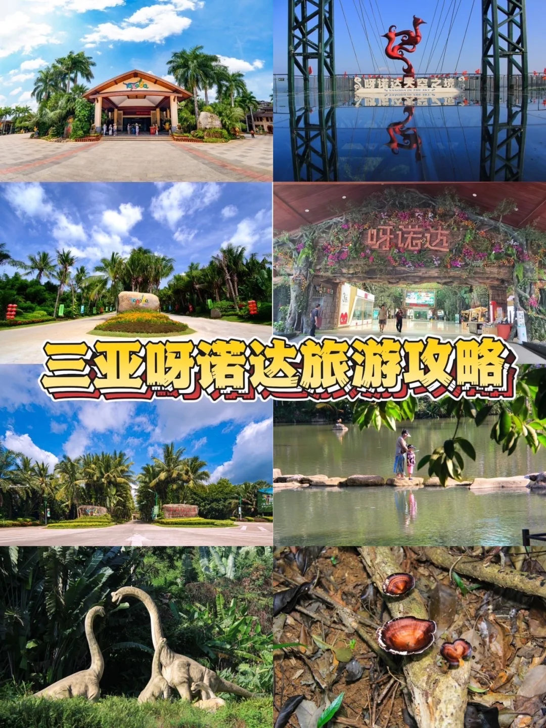 🌴三亚呀诺达热带雨林景区探险全攻略