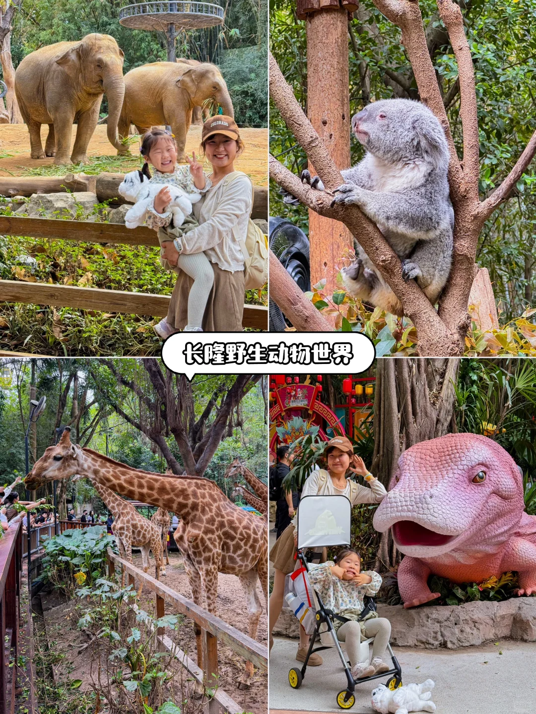 人生建议，一定要带孩子来一次广州