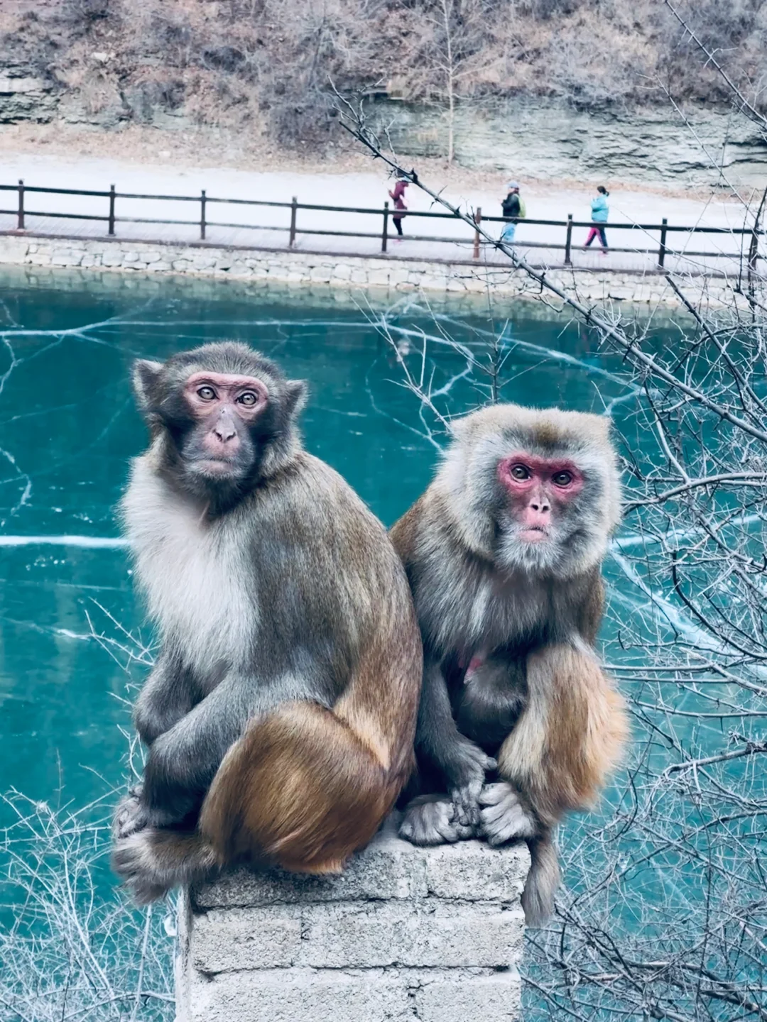 这里不是冰岛，也不是挪威而是