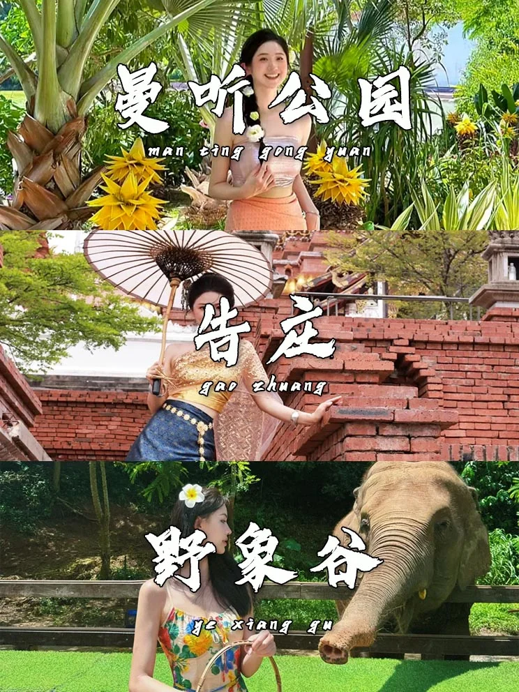 版纳｜特种兵旅行必去景点合集🔥